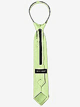 Rear View Thumbnail - Pistachio Dupioni Boy's 14" Zip Necktie by After Six