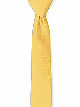 Front View Thumbnail - Mango Peau de Soie Narrow Ties by After Six