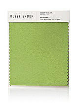 Front View Thumbnail - Mojito Satin Twill Swatch