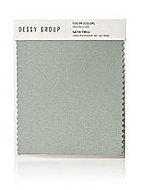 Front View Thumbnail - Willow Green Satin Twill Swatch