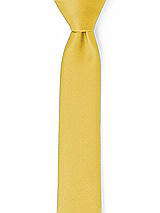 Front View Thumbnail - Marigold Matte Satin Narrow Ties by After Six