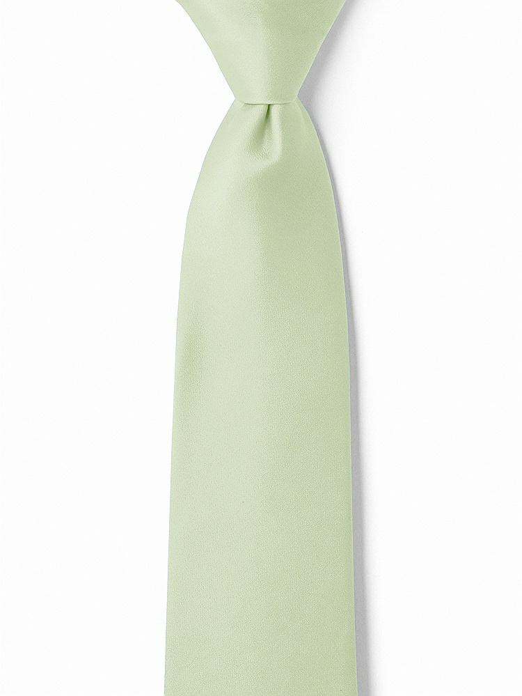 Front View - Limeade Matte Satin Boy's 14" Zip Necktie by After Six