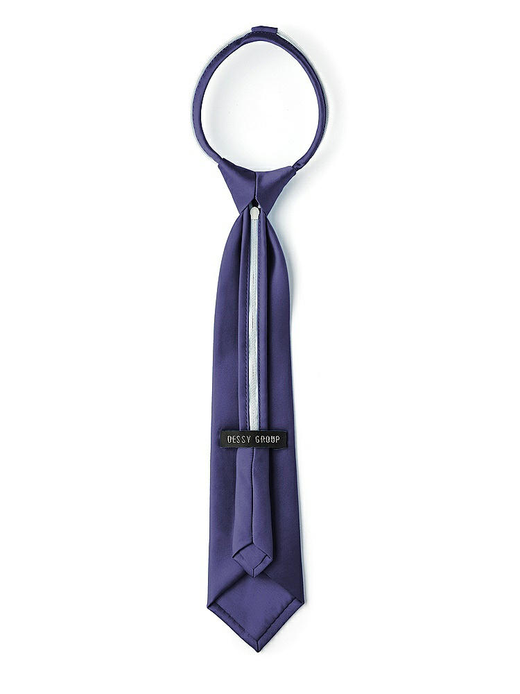 Back View - Amethyst Matte Satin Boy's 14" Zip Necktie by After Six