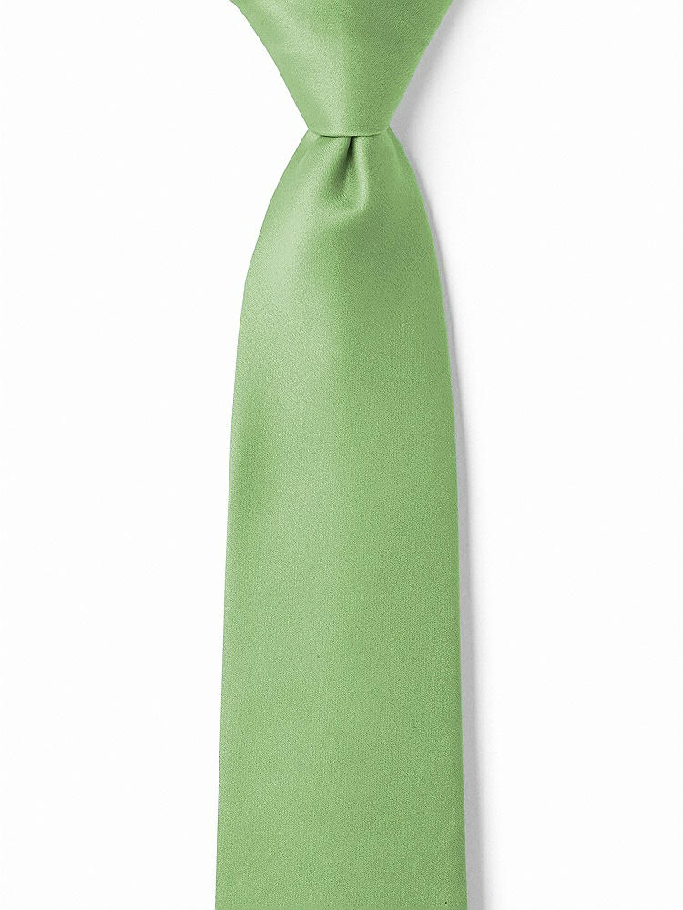 Front View - Apple Slice Matte Satin Boy's 14" Zip Necktie by After Six