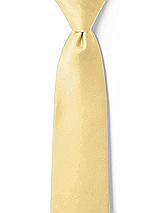 Front View Thumbnail - Buttercup Matte Satin Boy's 14" Zip Necktie by After Six