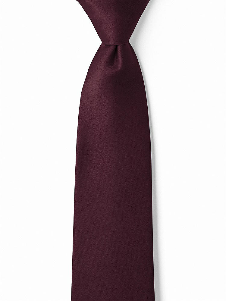 Front View - Bordeaux Matte Satin Boy's 14" Zip Necktie by After Six