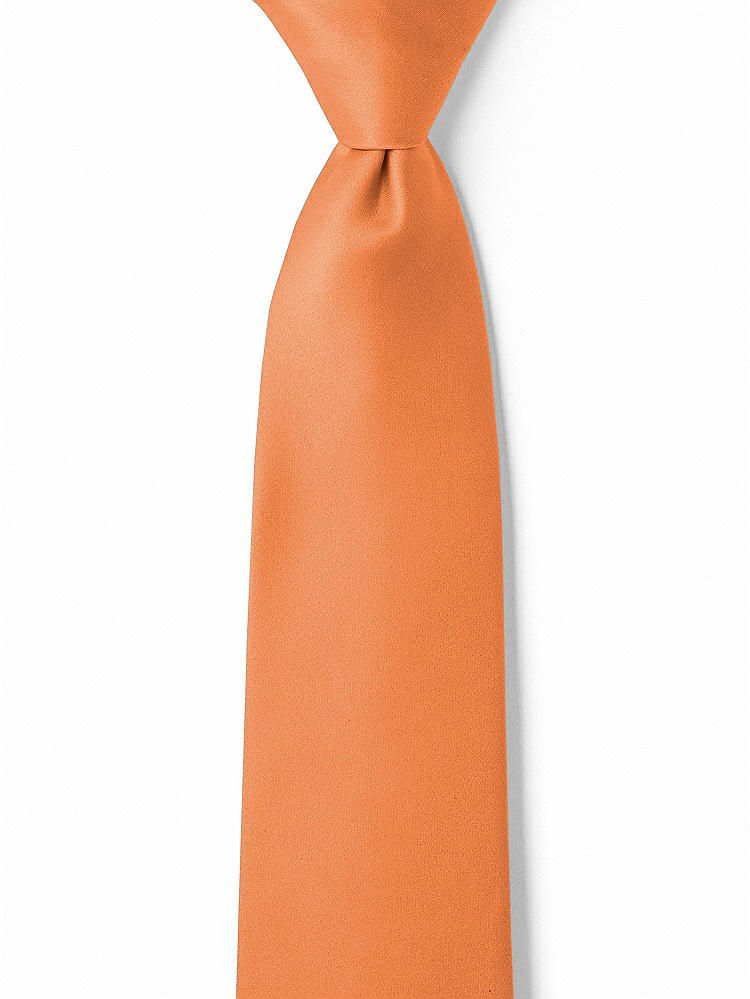 Front View - Clementine Matte Satin Boy's 14" Zip Necktie by After Six