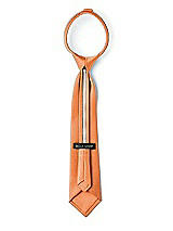 Rear View Thumbnail - Clementine Matte Satin Boy's 14" Zip Necktie by After Six