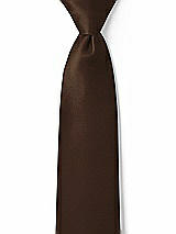 Front View Thumbnail - Espresso Matte Satin Boy's 14" Zip Necktie by After Six