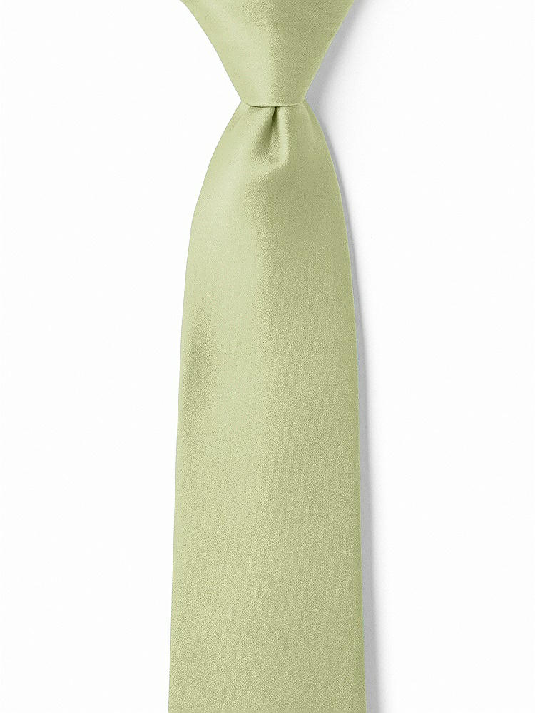 Front View - Mint Matte Satin Boy's 14" Zip Necktie by After Six