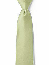 Front View Thumbnail - Mint Matte Satin Boy's 14" Zip Necktie by After Six