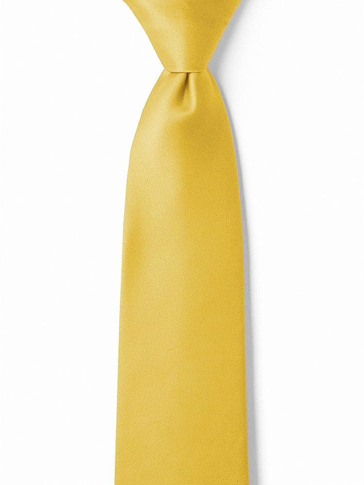 Front View - Marigold Matte Satin Boy's 14" Zip Necktie by After Six