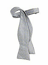 Rear View Thumbnail - Platinum/marigold Polka Dot Modern Polka Dot Self-Tie Bow-Tie