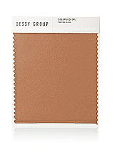 Front View Thumbnail - Toffee Neu Stretch Charmeuse Swatch