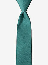 Front View Thumbnail - Treasure Peau de Soie Boy's 14" Zip Necktie by After Six