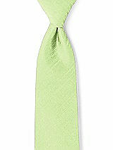 Front View Thumbnail - Pistachio Dupioni Boy's 50" Necktie by After Six