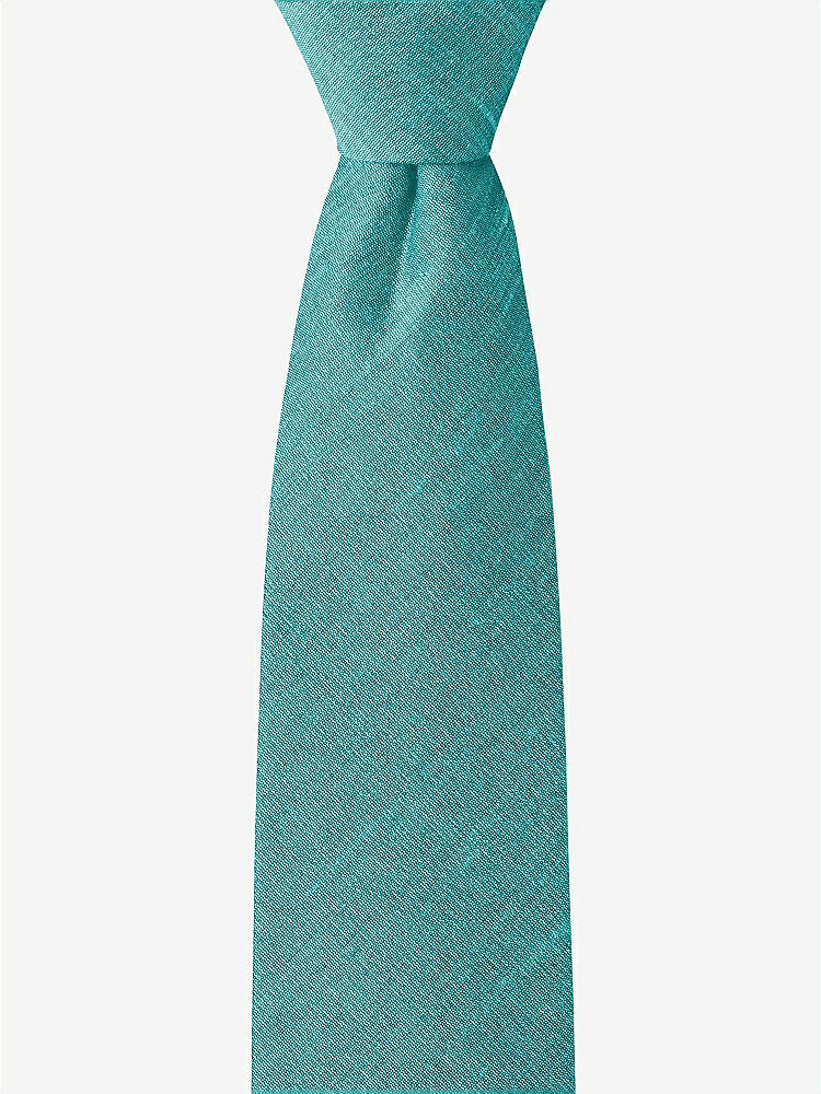 Front View - Azure Dupioni Boy's 14" Zip Necktie by After Six