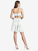 Rear View Thumbnail - Bleu Garden Ruffled Chiffon Cutout Mini Dress - Joey