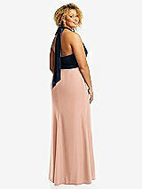 Rear View Thumbnail - Pale Peach & Midnight Navy High-Neck Open-Back Maxi Dress with Scarf Tie