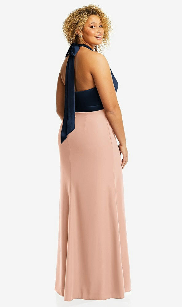 Back View - Pale Peach & Midnight Navy High-Neck Open-Back Maxi Dress with Scarf Tie