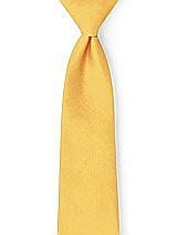 Front View Thumbnail - Mango Peau de Soie Neckties by After Six