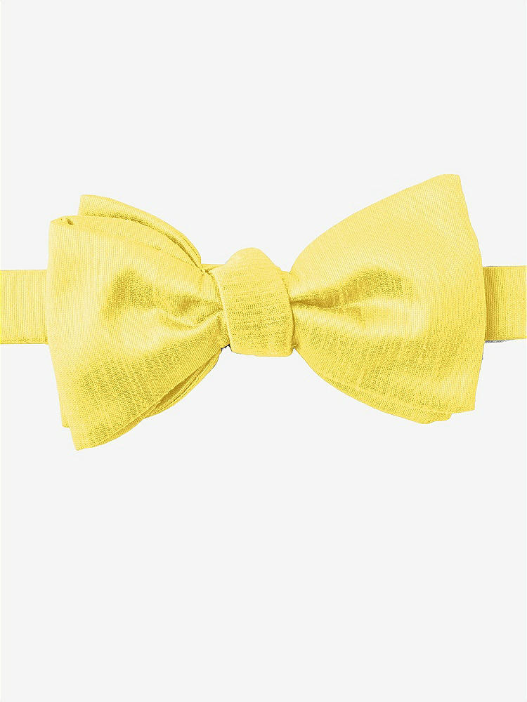 Front View - Daisy Dupioni Bow Ties by After Six