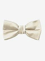 Front View Thumbnail - Champagne Yarn-Dyed Boy's Bow Tie by After Six
