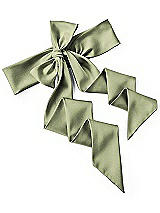 Rear View Thumbnail - Kiwi Matte Satin Sash