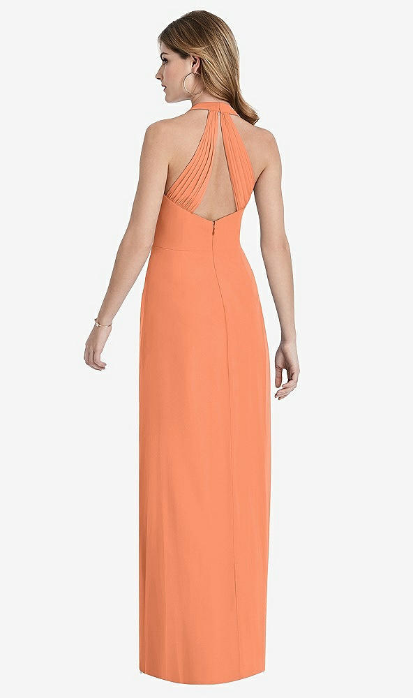 Back View - Sweet Melon V-Neck Halter Chiffon Maxi Dress - Taryn