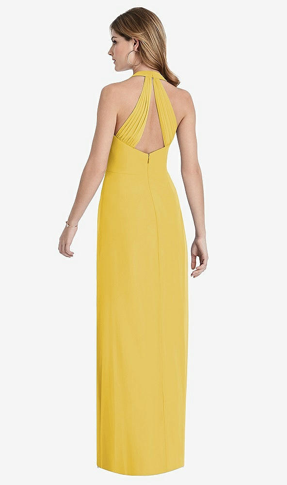 Back View - Marigold V-Neck Halter Chiffon Maxi Dress - Taryn