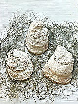 Rear View Thumbnail - Neutral Floral Script Oyster Shell Ring Dish