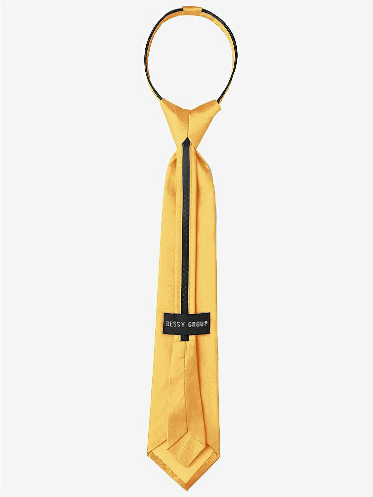 Back View - Mango Peau de Soie Boy's 14" Zip Necktie by After Six