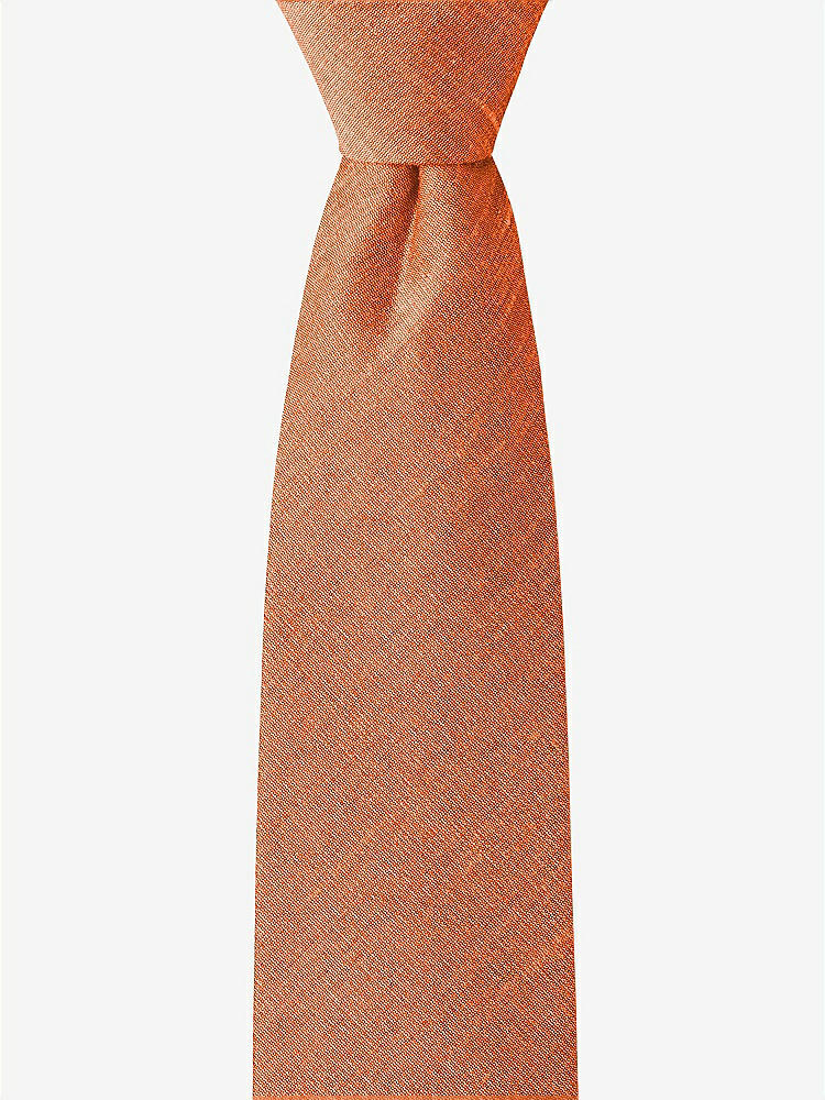 Front View - Mandarin Dupioni Boy's 14" Zip Necktie by After Six