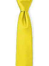 Front View Thumbnail - Citrus Matte Satin Neckties by After Six
