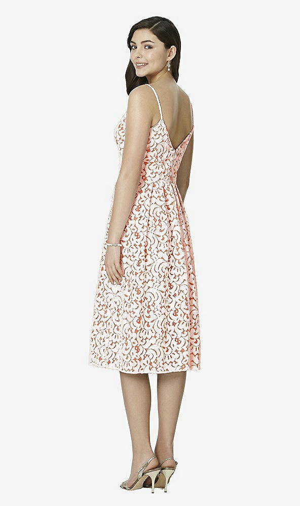 Back View - Tangerine Tango & Blush Studio Design Bridesmaid Dresses 4522