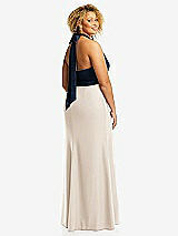 Rear View Thumbnail - Oat & Midnight Navy High-Neck Open-Back Maxi Dress with Scarf Tie