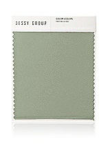 Front View Thumbnail - Sage Neu Stretch Charmeuse Swatch