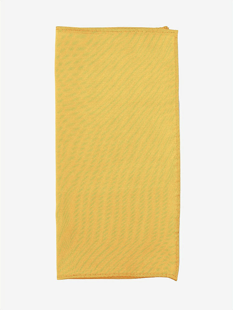 Front View - Mango Peau de Soie Pocket Squares by After Six