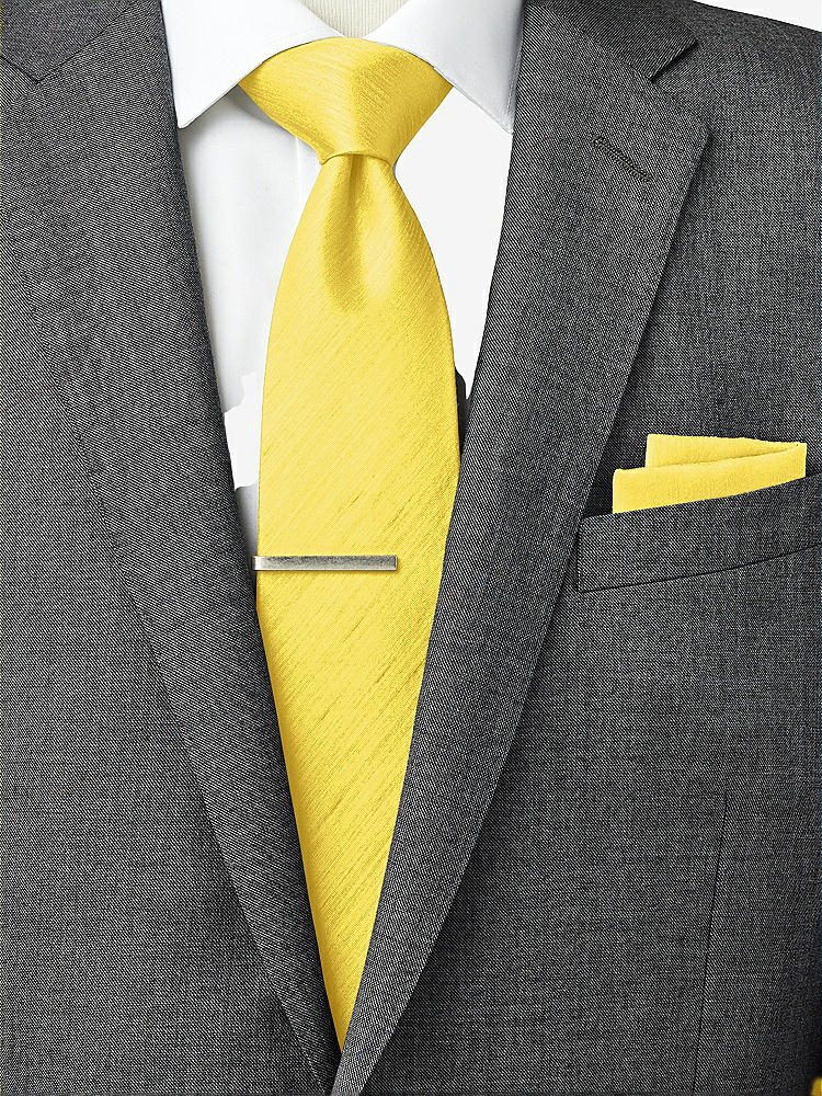 Back View - Daisy Dupioni Pocket Squares by After Six