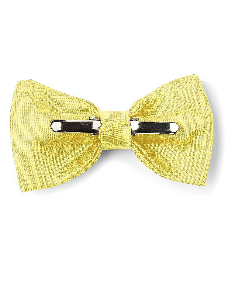 Back View - Daisy Dupioni Boy's Clip Bow Tie by After Six
