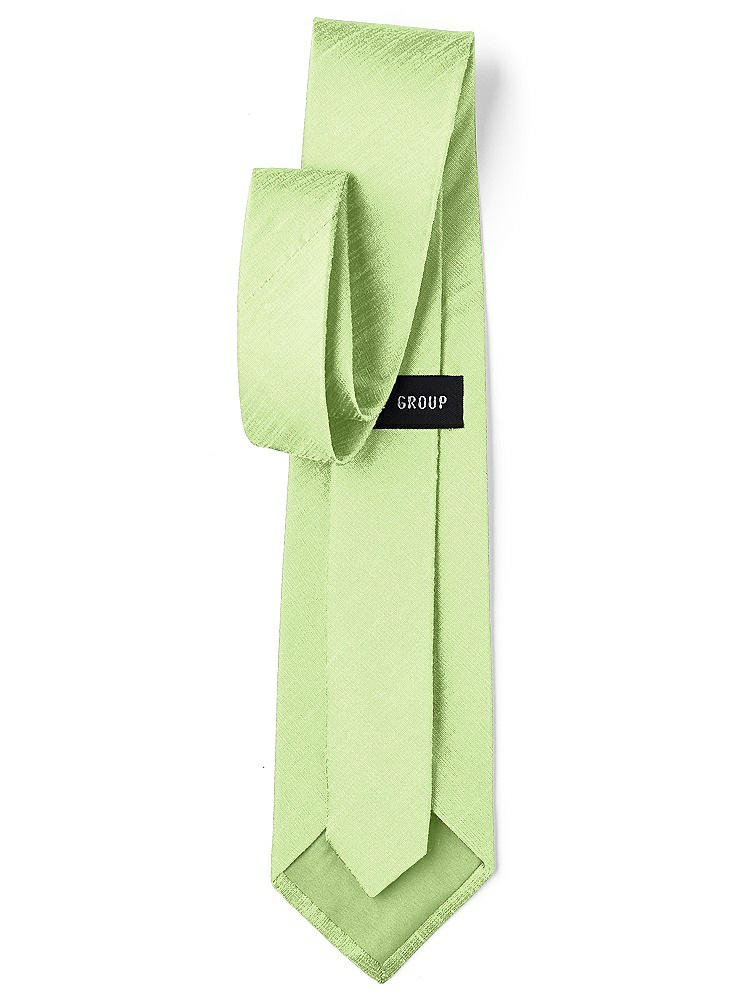 Back View - Pistachio Dupioni Boy's 50" Necktie by After Six