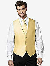 Front View Thumbnail - Buttercup Aries Slider Ties by After Six