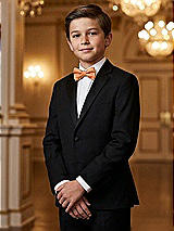 Alt View 1 Thumbnail - Clementine Yarn-Dyed Boy's Bow Tie by After Six