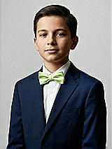 Front View Thumbnail - Pistachio Yarn-Dyed Boy's Bow Tie by After Six