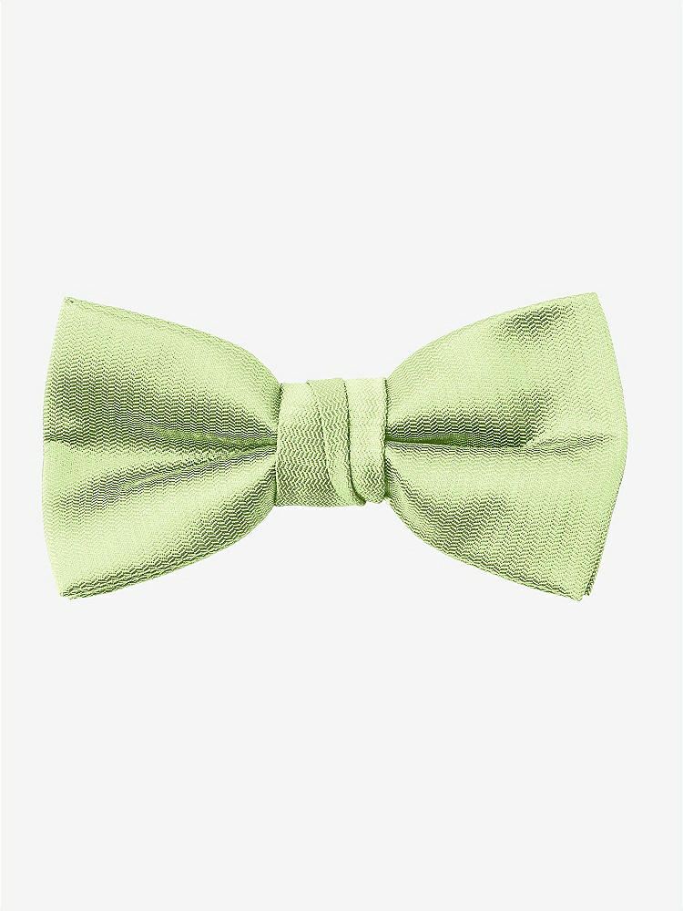 Back View - Pistachio Yarn-Dyed Boy's Bow Tie by After Six