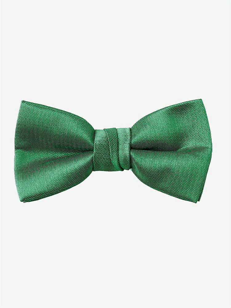 Back View - Shamrock Yarn-Dyed Boy's Bow Tie by After Six
