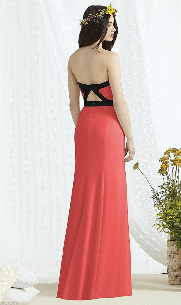 Back View - Perfect Coral & Black Social Bridesmaids Style 8164