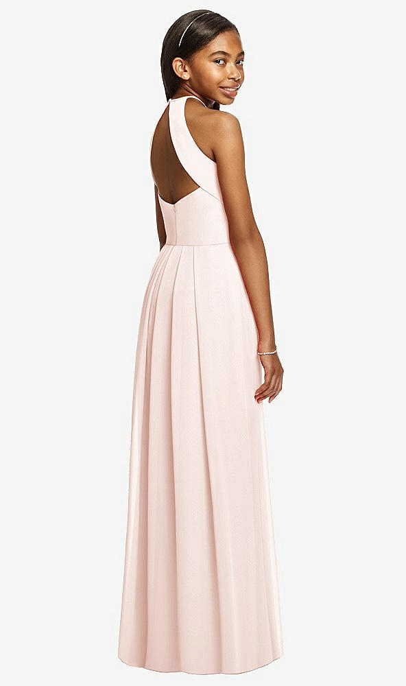 Back View - Blush Dessy Collection Junior Bridesmaid JR530