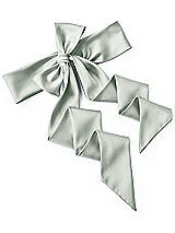 Rear View Thumbnail - Willow Green Satin Twill Wedding Sash