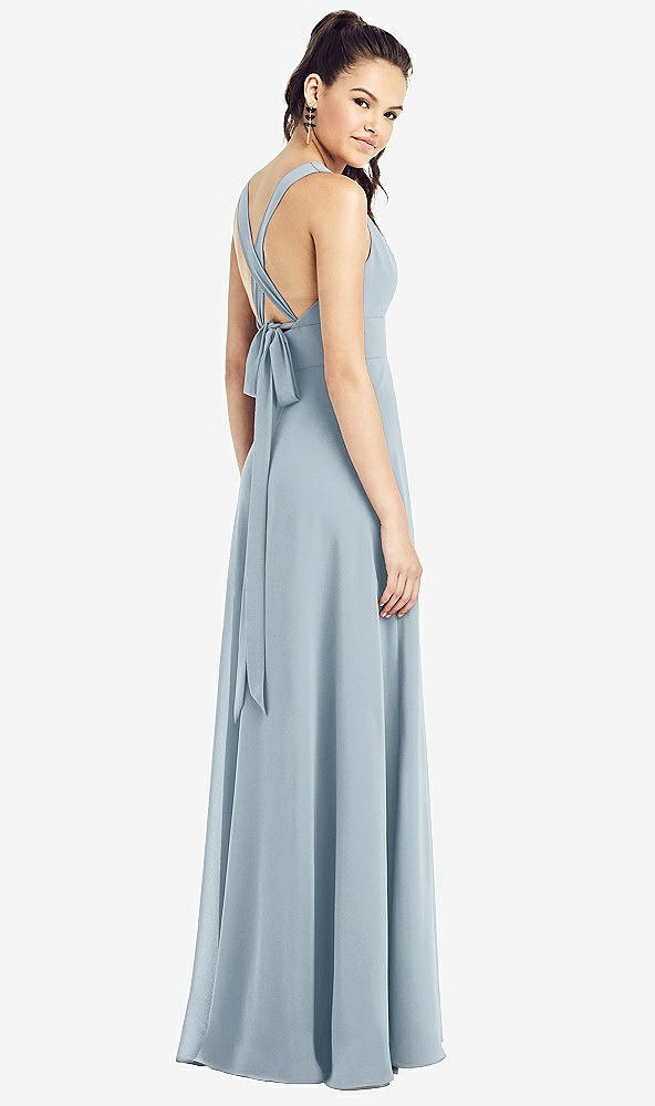 Back View - Mist & Light Nude Adjustable Strap Illusion Neck Chiffon Gown